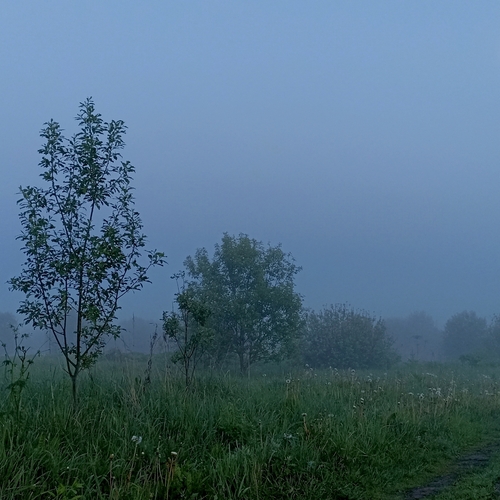 Photo #14034809