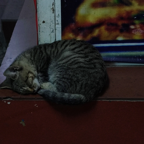 Photo #14034945