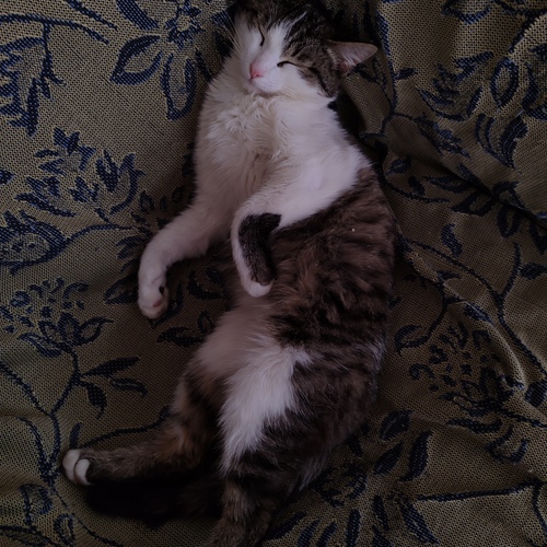 Photo #14034947