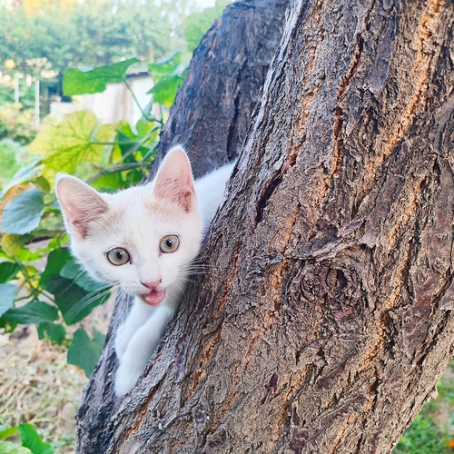 Photo #14034964