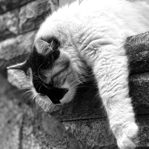 Photo #14034972