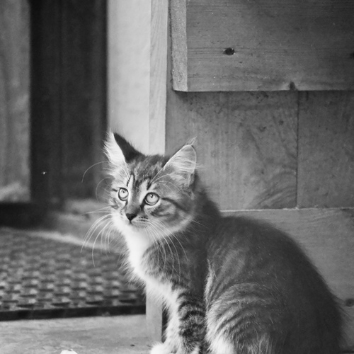Photo #14034973