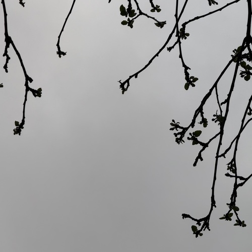 Photo #14034984