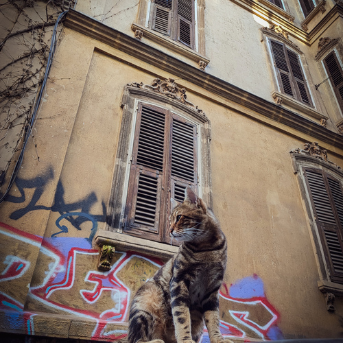 Photo #14035021