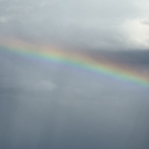 Photo #14035038