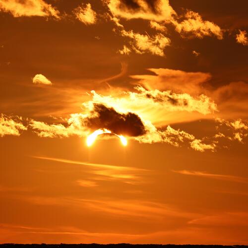 Photo #14035097