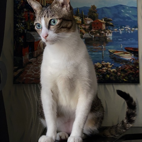 Photo #14035098