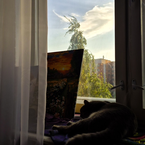 Photo #14035141