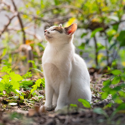 Photo #14035163