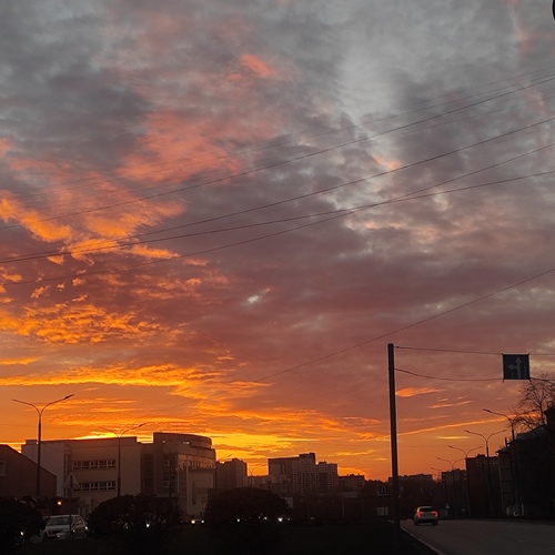 Photo #14035167