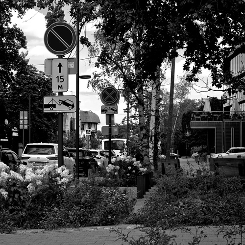 Photo #14035189