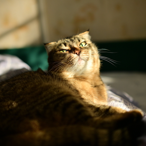 Photo #14035204