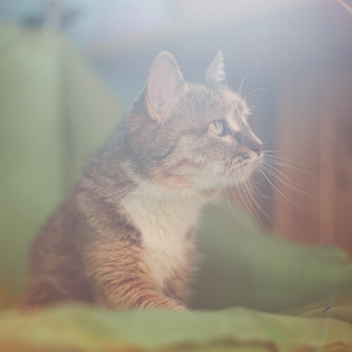 Photo #14035229