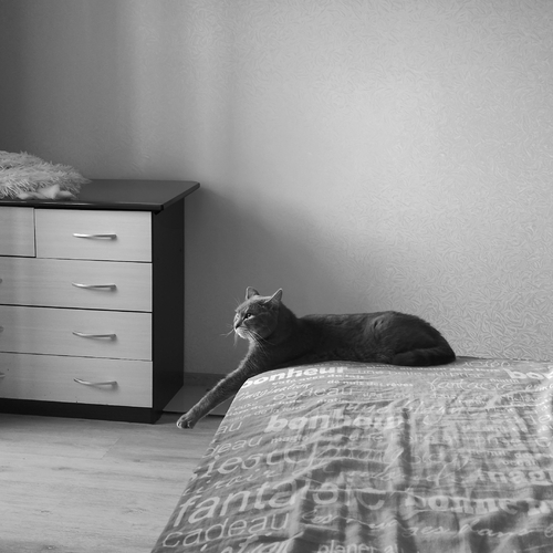 Photo #14035239