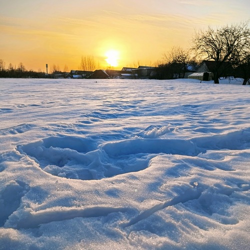 Photo #14035254
