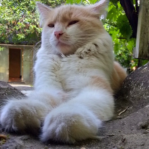 Photo #14035261