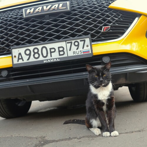 Photo #14035280