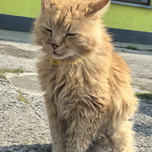 Photo #14035283