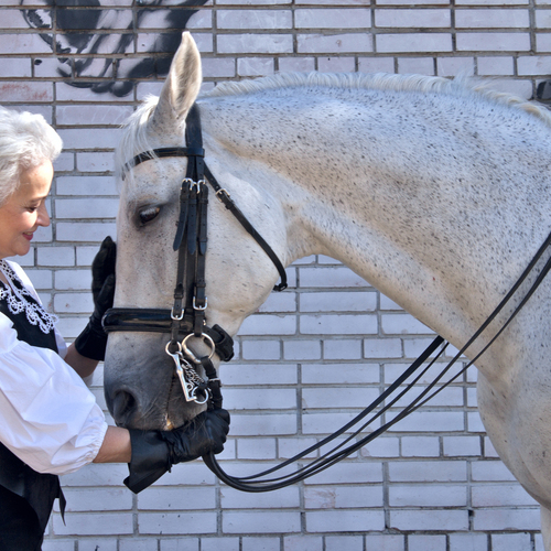 Photo #14035336