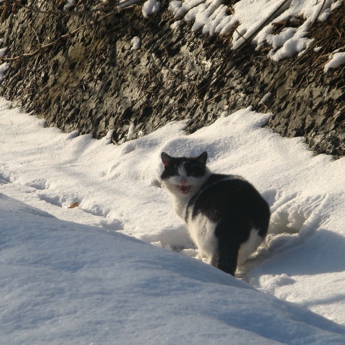 Photo #14035337
