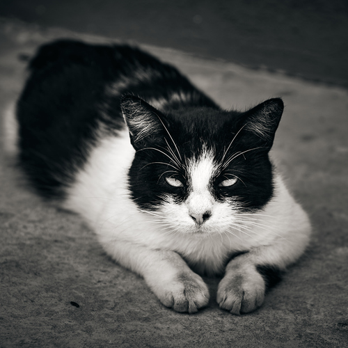 Photo #14035344