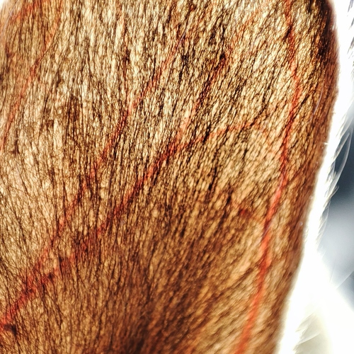 Photo #14035351