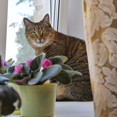Photo #14035359
