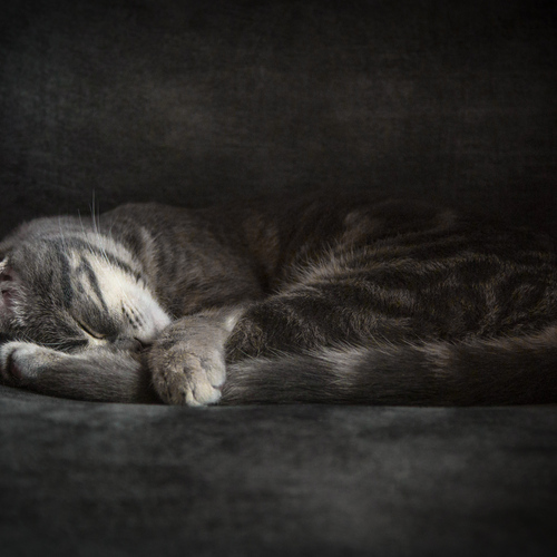 Photo #14035366