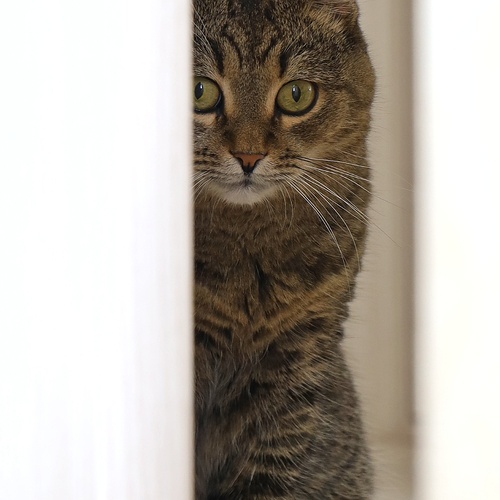 Photo #14035376