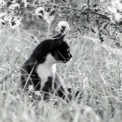 Photo #14035408