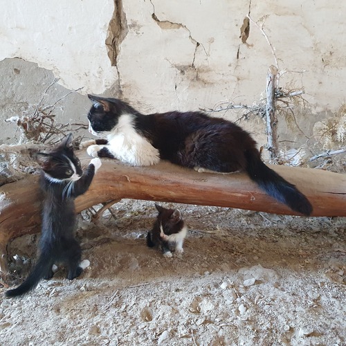 Photo #14035413