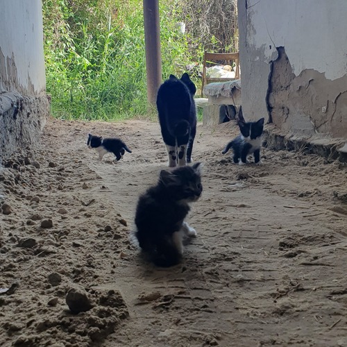 Photo #14035415