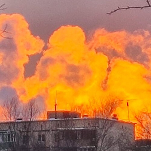 Photo #14035435