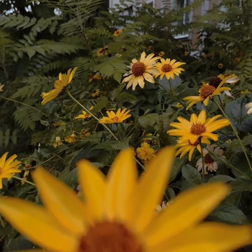 Photo #14035444