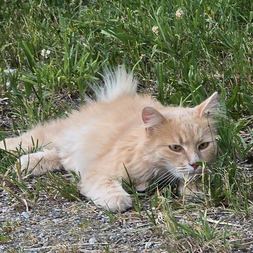 Photo #14035495