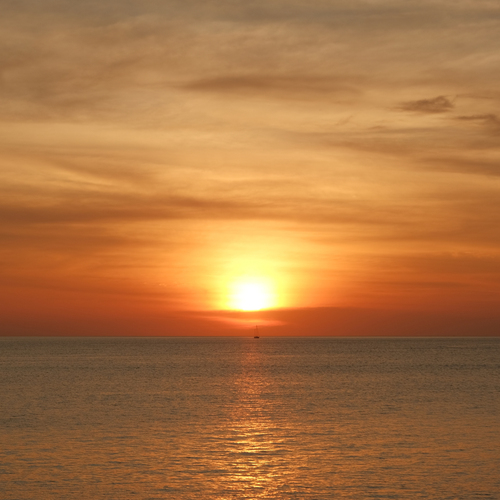 Photo #14035533