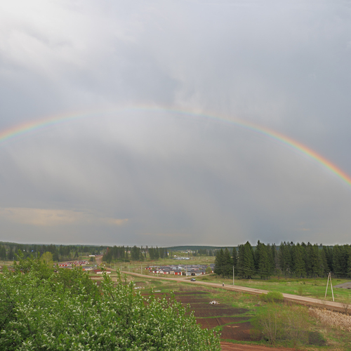 Photo #14035564