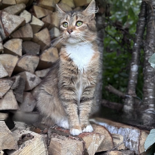 Photo #14035607