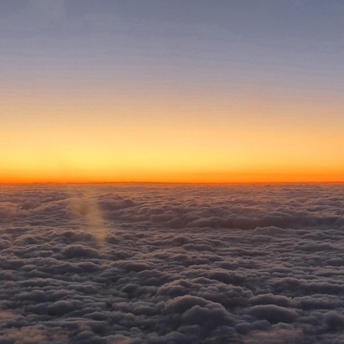 Photo #14035613