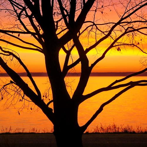 Photo #14035628