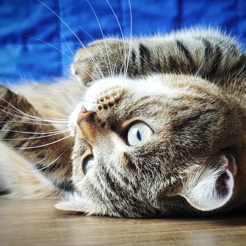 Photo #14035678