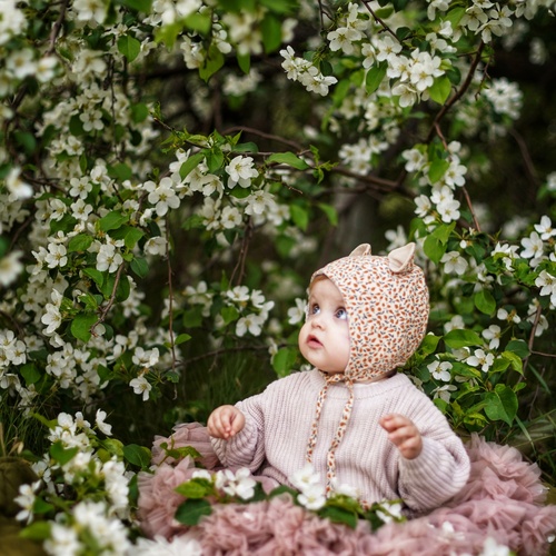 Photo #14035682