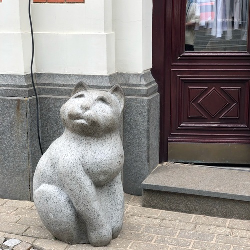 Photo #14035713