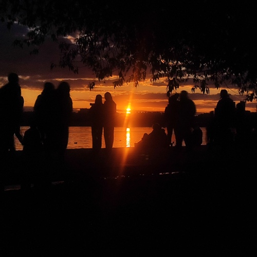 Photo #14035723