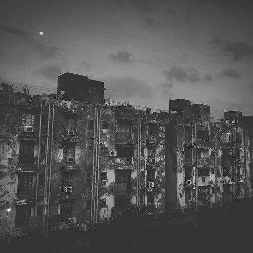 Photo #14035745