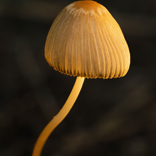 Photo #14035770