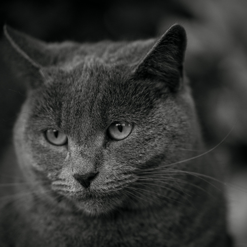 Photo #14035784