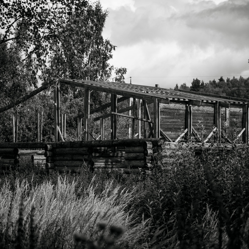 Photo #14035801