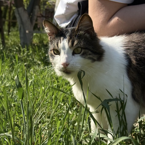 Photo #14035805