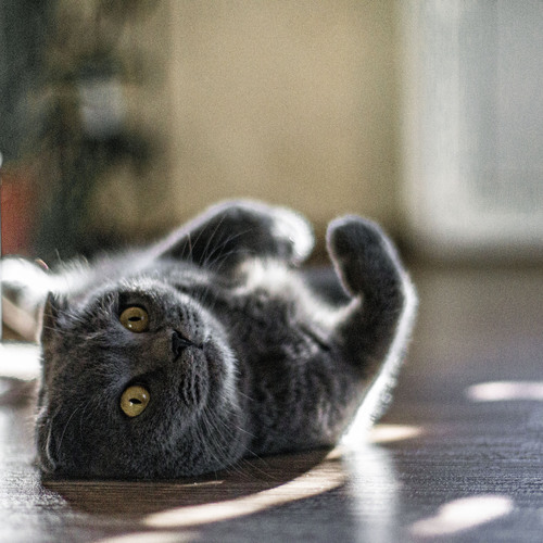 Photo #14035860